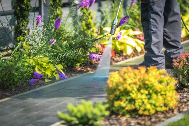 Best Parking Lot Cleaning in Mammoth Lakes, CA